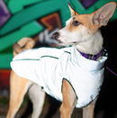 Doudoune pour chien