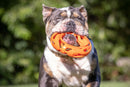 Balle pour chien Chuckit! Air Fetch