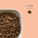 Croquettes sans céréales pour chat saumon