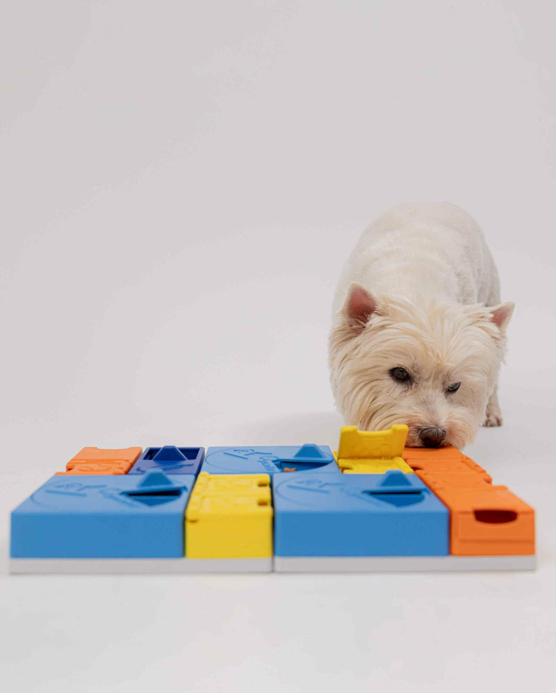 Puzzle pour chien évolutif Rainbow Set