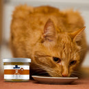 Pâtée pour chat sans céréales au poulet