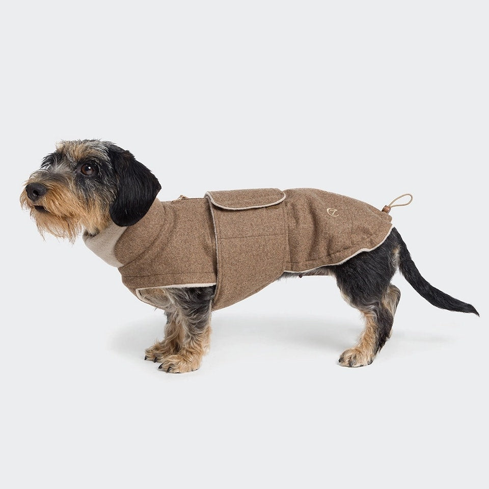 Manteau d’hiver pour teckel - Main Image