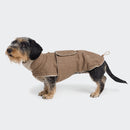 Manteau d’hiver pour teckel