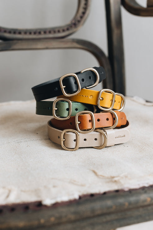 Collier pour chien en cuir - Fabricant de harnais, colliers et laisses pour chien en Chine Collier pour chien en cuir - Fabricant de harnais, colliers et laisses pour chien en Chine