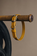 Collier pour chien en cuir Fir Air Band & Roll