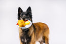 Jouet Eggcellent Play Platter – IHOP x P.L.A.Y. pour chien