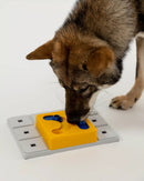 Jeu d'occupation et modules pour chien