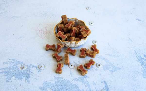 Friandises d'éducation moelleuse pour chien au saumon