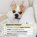 Poudre hygiène buccaux dentaire Quenotte