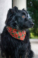 Bandana de Noël pour chien Atelier Markiz