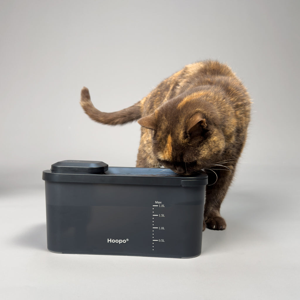 Fontaine à eau pour chat ultra silencieuse et sans fil Hydr