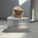 Chat utilisant la fontaine à eau blanche