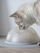 Gamelle ludique Cat Igloo