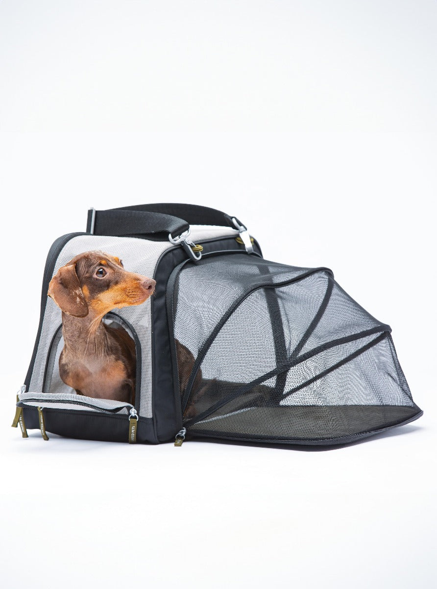 Petit Chien Sac Voyage Chien Avion à Dos Ventral Pour Chien Sac