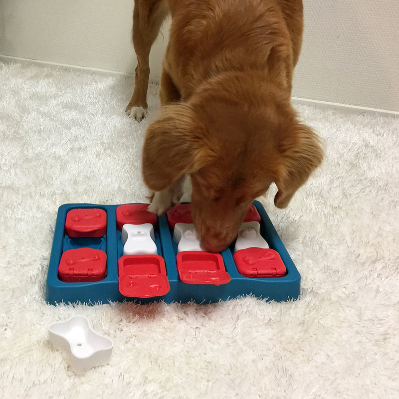Jouet de stimulation Dog Brick pour chien Niv.2
