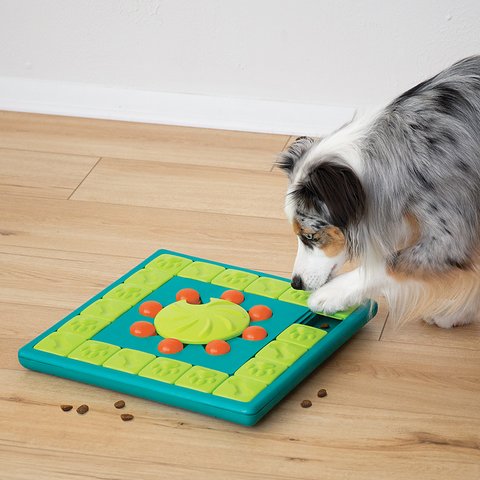 Puzzle interactif pour chien Multipuzzle Niv.4