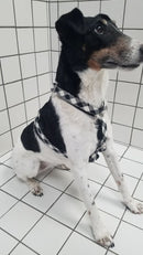 Harnais pour chien en H Cadi