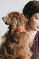 Collier pour chien Pine en cuir et laine