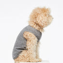 Pull fin pour chien Agnes