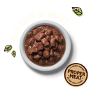 Repas pour chat poulet sauce gravy