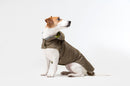 Jack Russel portant un imperméable pour chien kaki