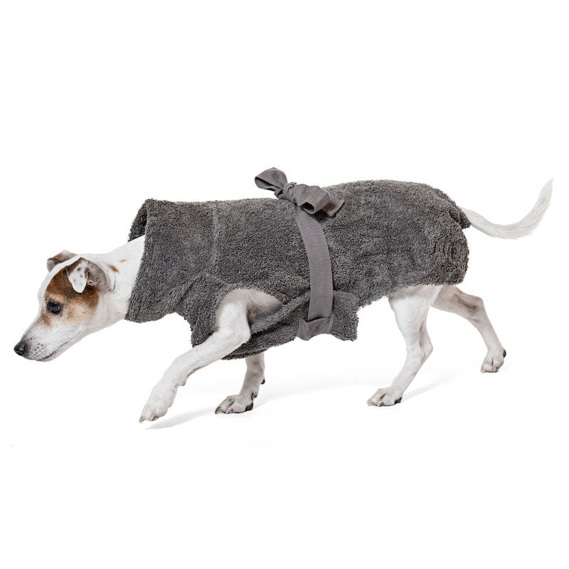 Jack russel portant un peignoir pour chien gris