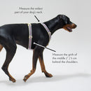 Harnais Chef l’Bark See Scout Sleep