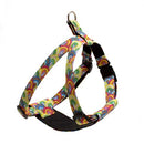 Harnais pour chien Over the rainbow