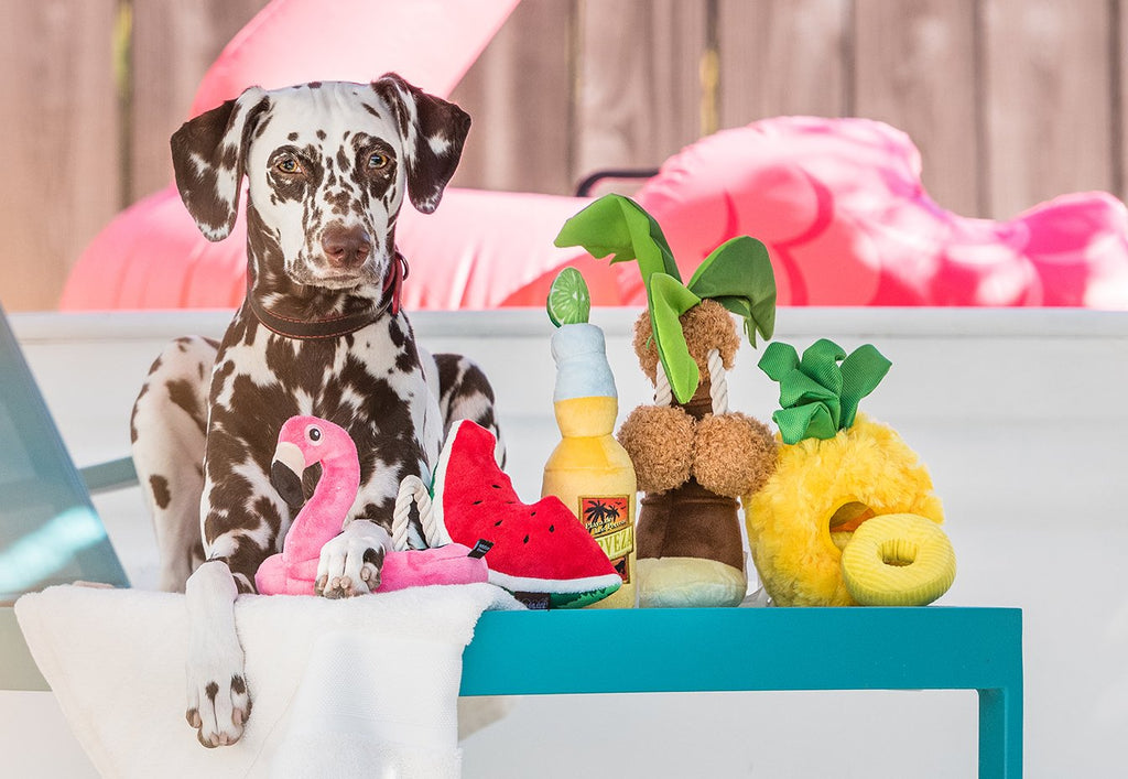 L'ananas est-il bénéfique pour votre chien ?