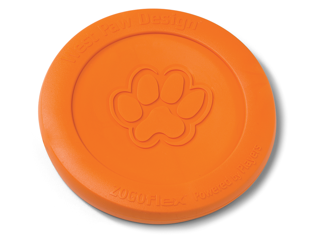 Frisbee Dog Disc pour chien à Lyon, diamètre 23 cm