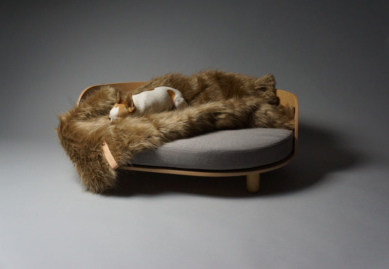 Chihuahua sur un lit canapé pour chien en bois et coussin gris
