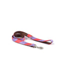 Collier pour chien Sagaro classique et martingale