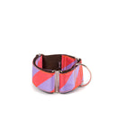 Collier pour chien Sagaro classique et martingale