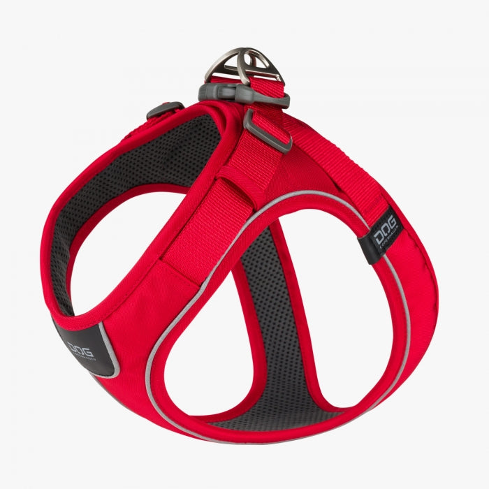 Harnais Anti-Traction et Laisse pour Bouledogue Français - Bouledogue Avenue Harnais Anti-Traction et Laisse pour Bouledogue Français - Bouledogue Avenue