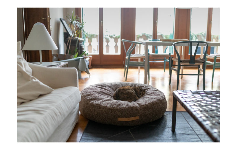 Chat dormant dans un panier gris rond dans un bel appartement