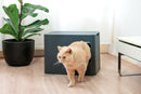 chat sortant du bac à litiere hoopo dome noir