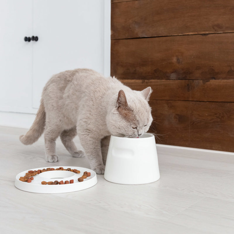 Gamelle pour chat surélevée en porcelaine