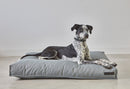 Coussin pour chien orthopédique Mare