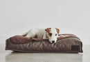 Coussin pour chien Divo
