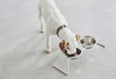 Double écuelle design pour chien Cena