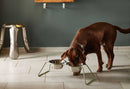 Double écuelle design pour chien Cena