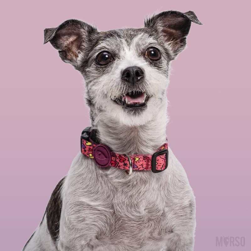 Mini ensemble chien personnalisé VS Victorias Secret ROSE