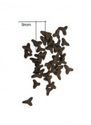 détail des croquettes et de leur taille