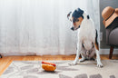 Hot Dog American classic collection