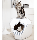 Chat Maine Coon sur une maison en carton blanche et grise
