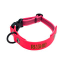 Collier DUO biothane pour chien