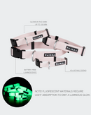 Collier Fluorescent Lumineux pour Chien Glow – PAIKKA