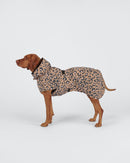 Imperméable Réfléchissant Visibility pour Grand Chien – Nouvelle Génération | PAIKKA