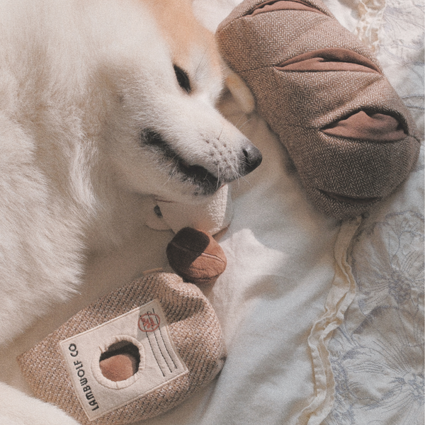 Jouet d’enrichissement petit chien Lambwolf Collective – Coffee Beans
