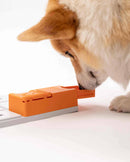 Jeu d'occupation et modules pour chien